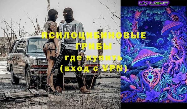 прущая мука Арсеньев