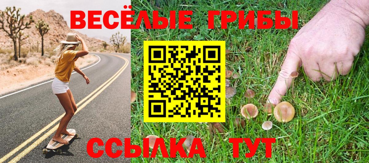 Псилоцибиновые грибы ЛСД  Вход с VPN  Белорецк 